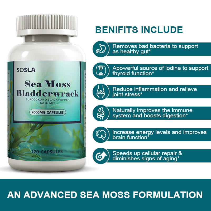 (120 PCS) Irish Sea Moss, Bladderwrack & Burdock, Thyroid, Immune Energy Support