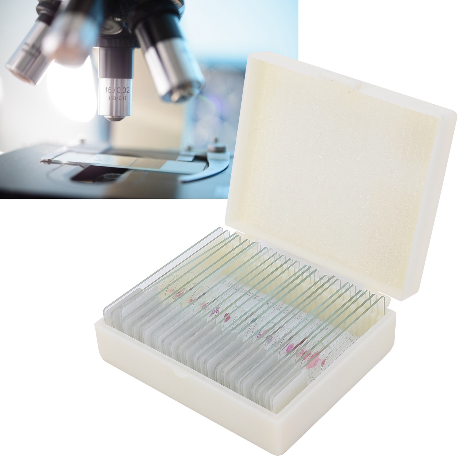 25Pcs Animal Slides Microscope Sample Slides For Science Education Popular