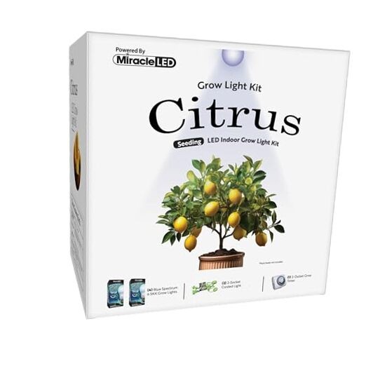 Citrus Tree Starter Grow Light Kit (6.5KK Blue Spectrum Edition 2-Pack)