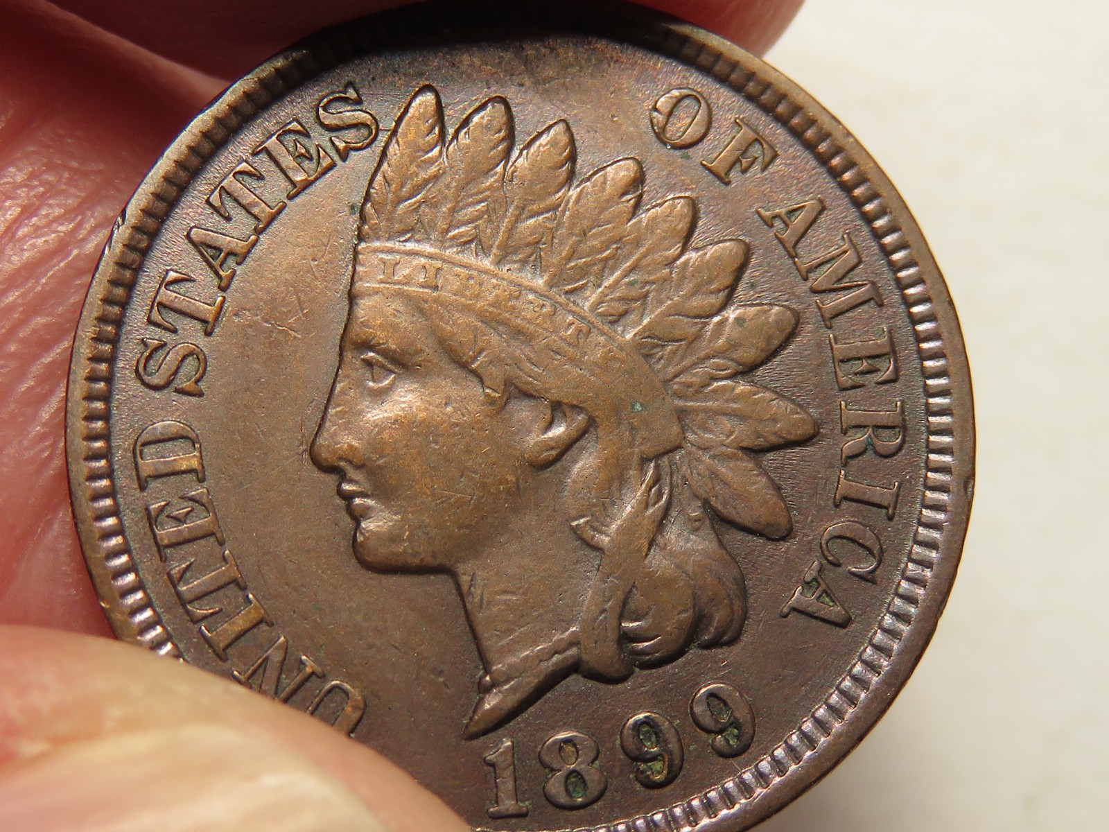 1899 Indian Cent, XF