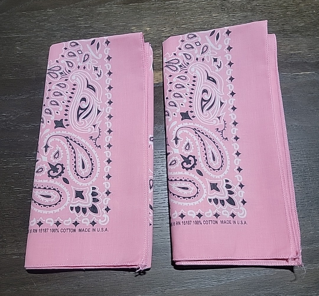 Set Of 2 ~ Carolina Creative Bandannas Light Pink Traditional Paisley 22" USA