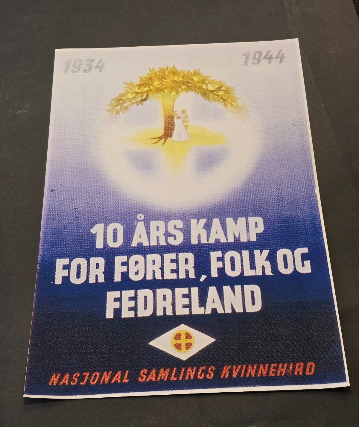 1934-44 NORGE German VIKING NORDIC NORWAY Propaganda Print Poster WW2 WWII