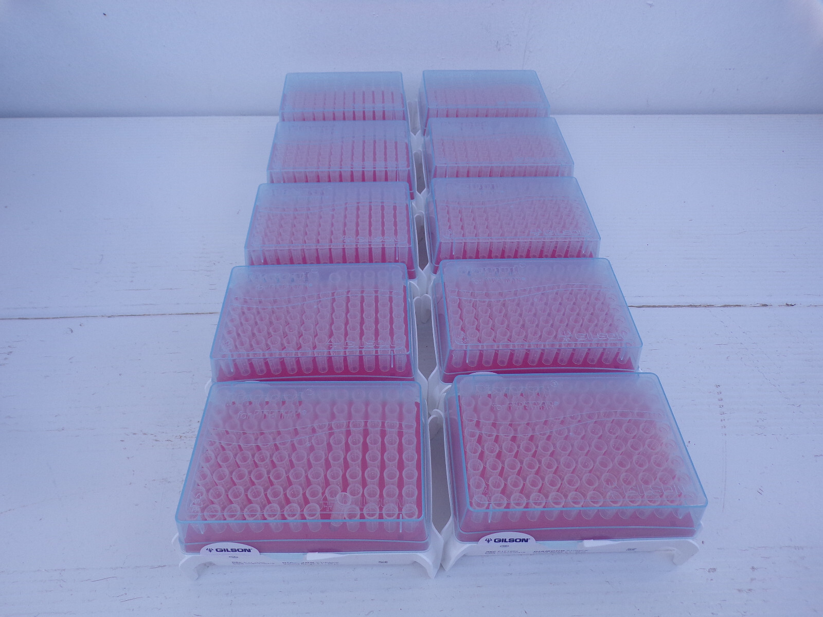 Lot Gilson  High quality Diamond for PIPETMAN DL10 0.1 20 UL F171200 10X960 TIPS