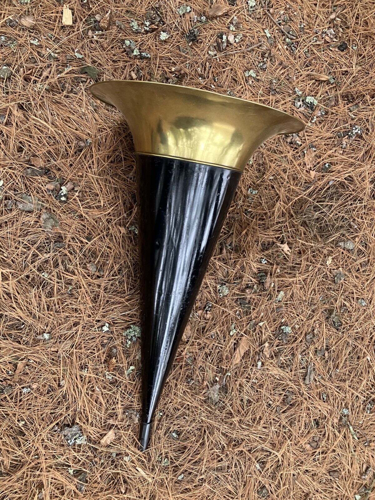 Vintage Phonograph Horn