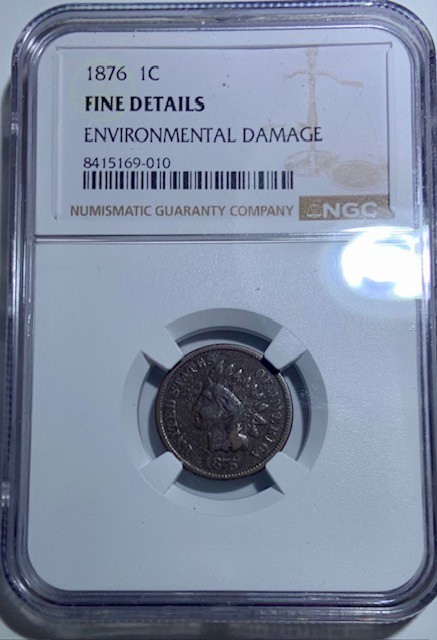 1876 Indian Head Cent NGC Fine Details - Superficial Hints of Erosion, Must See!