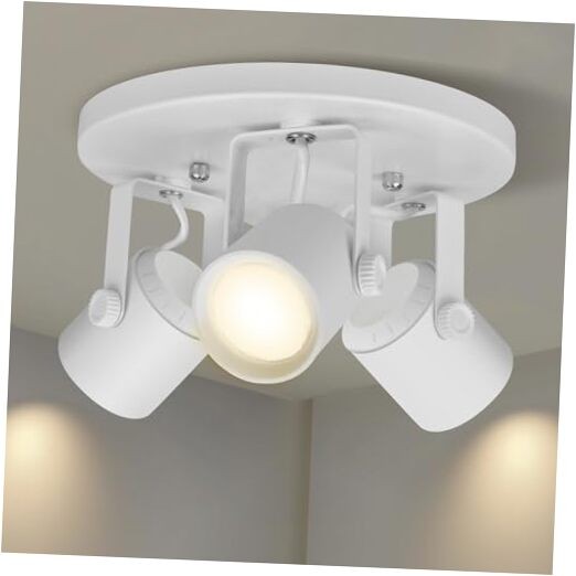 27W 3000K 3 Light LED Flush Mount Ceiling Not Replaceable Bulb-3 light