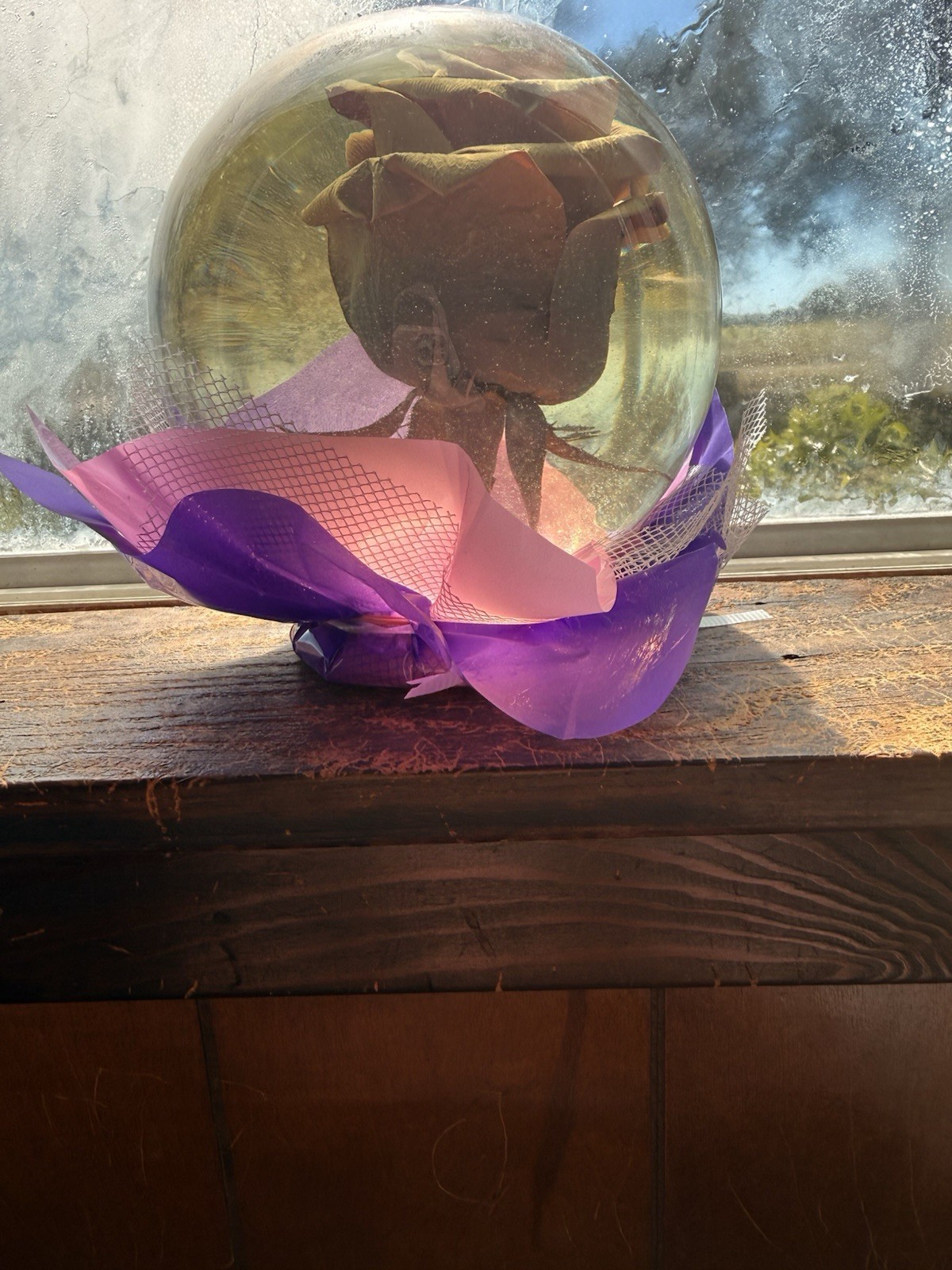 Rose In A Globe