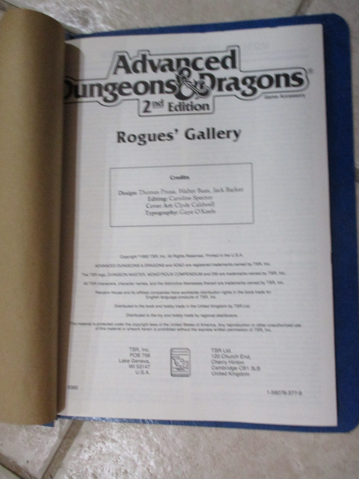 AD&D D&D REF6 The Rogues Gallery 9380