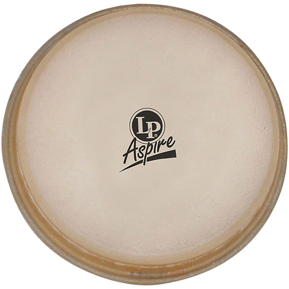 LP 11" Aspire Conga Head
