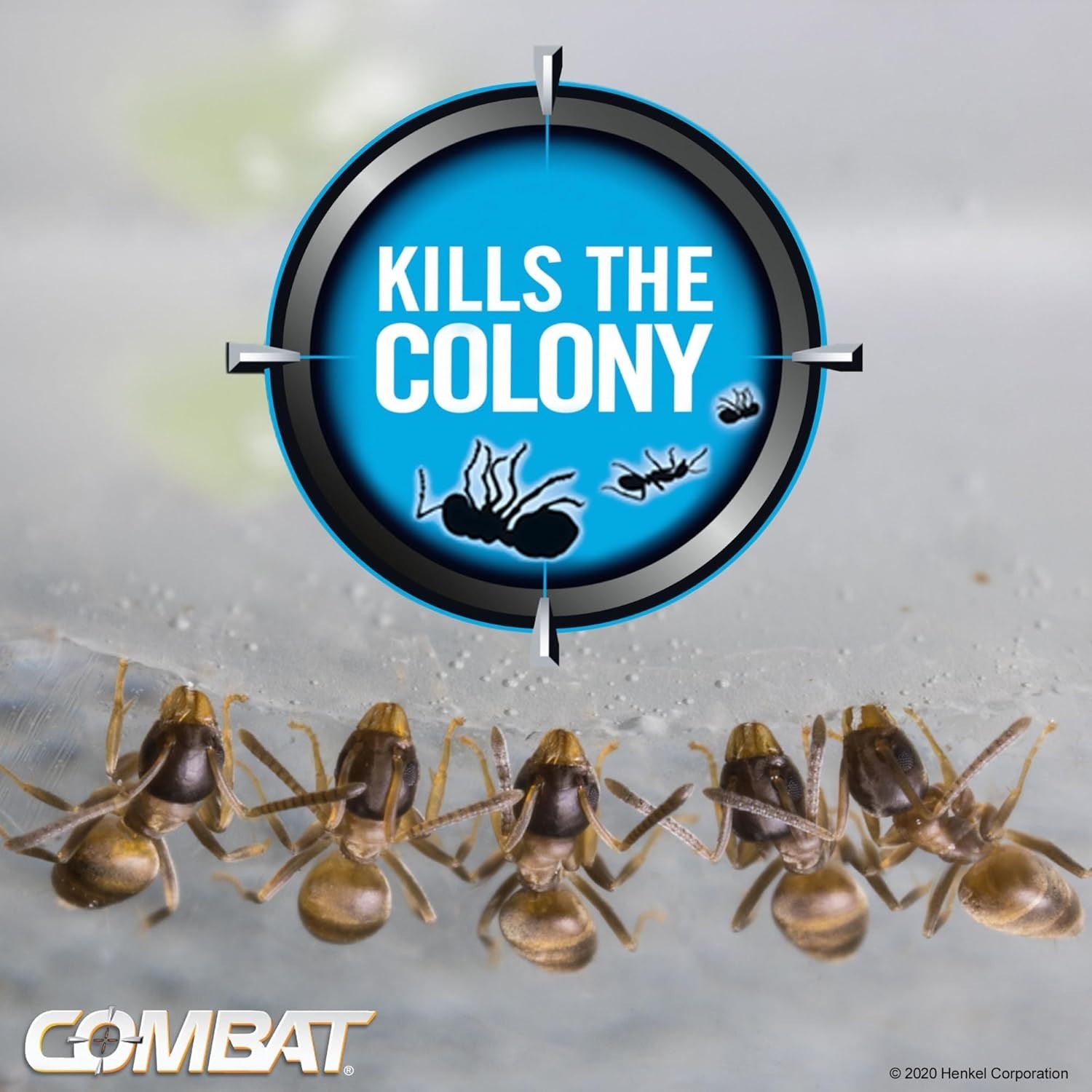 COMBAT MAX Bait Station ANT KILLER In & Outdoor 6 Count