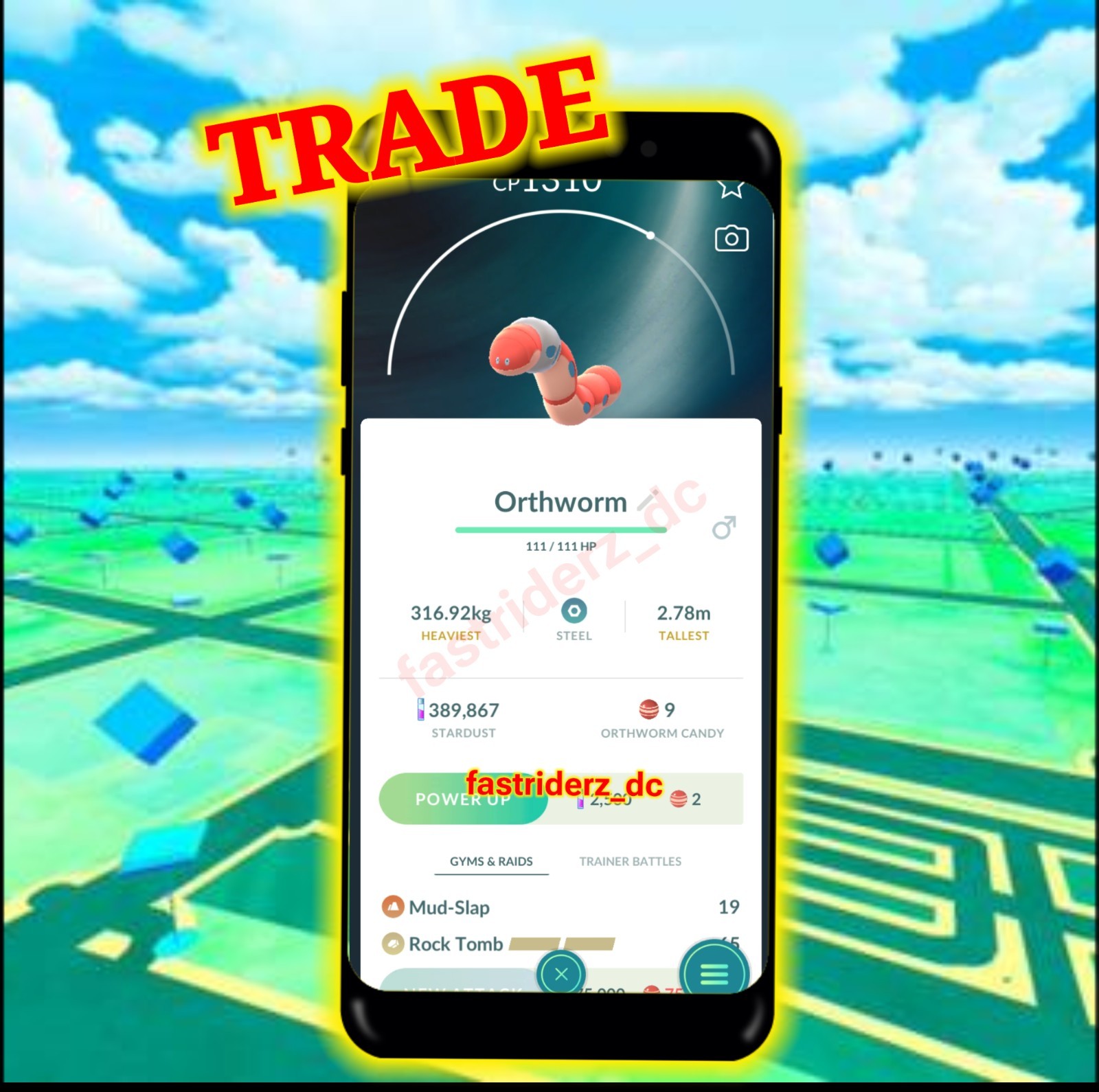 Pokemon Orthworm TD