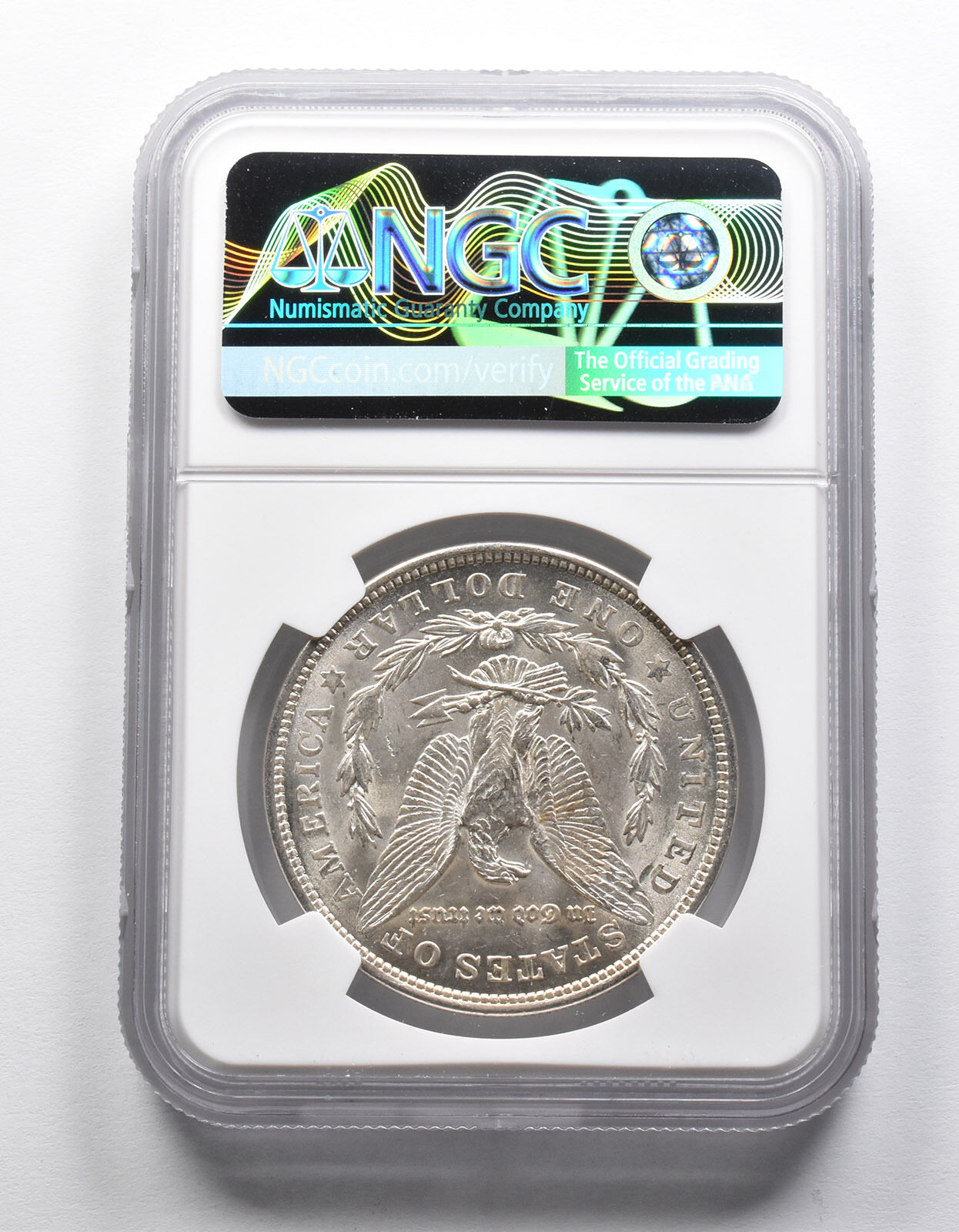 Mint Error MS62 1921 Morgan Silver Dollar OBV Lamination NGC *1970