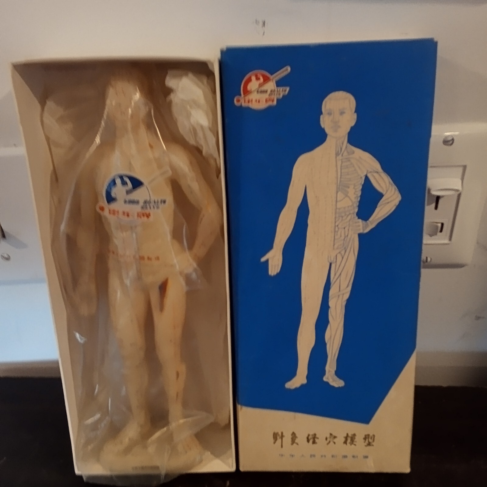 Vintage Soft MODEL of a HUMAN BODY Chinese Acupuncture Points Original Package