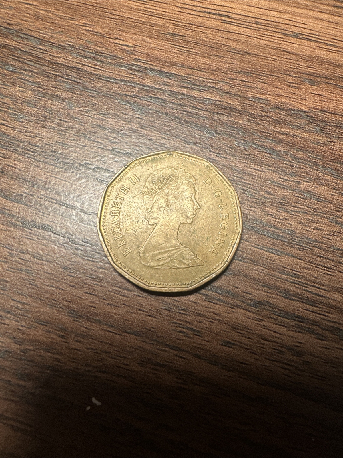 1989 Canadian $1 One Dollar Coin - Queen Elizabeth II - D.G. Regina 👸