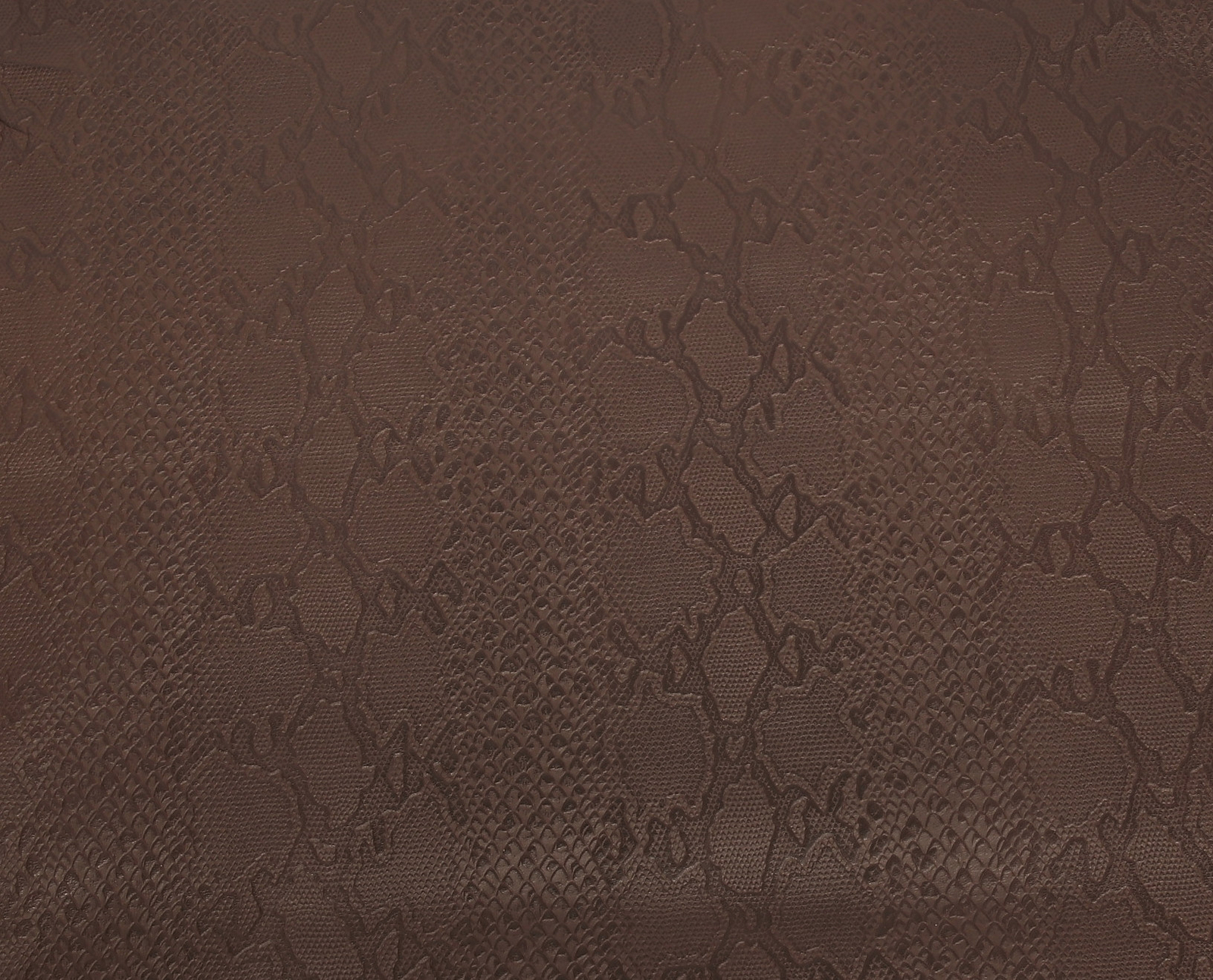 Python Lamb Skin Brown Color (100% Genuine skin)