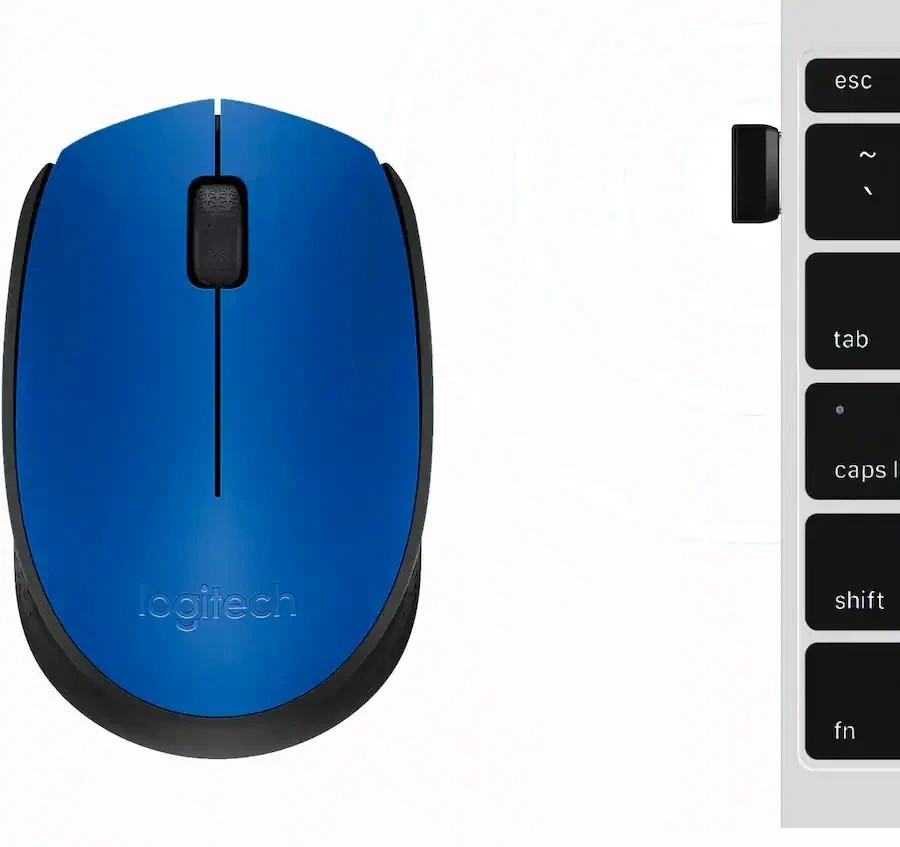 Logitech - M170 Wireless Compact Optical Ambidextrous Mouse - Blue (910-004800)