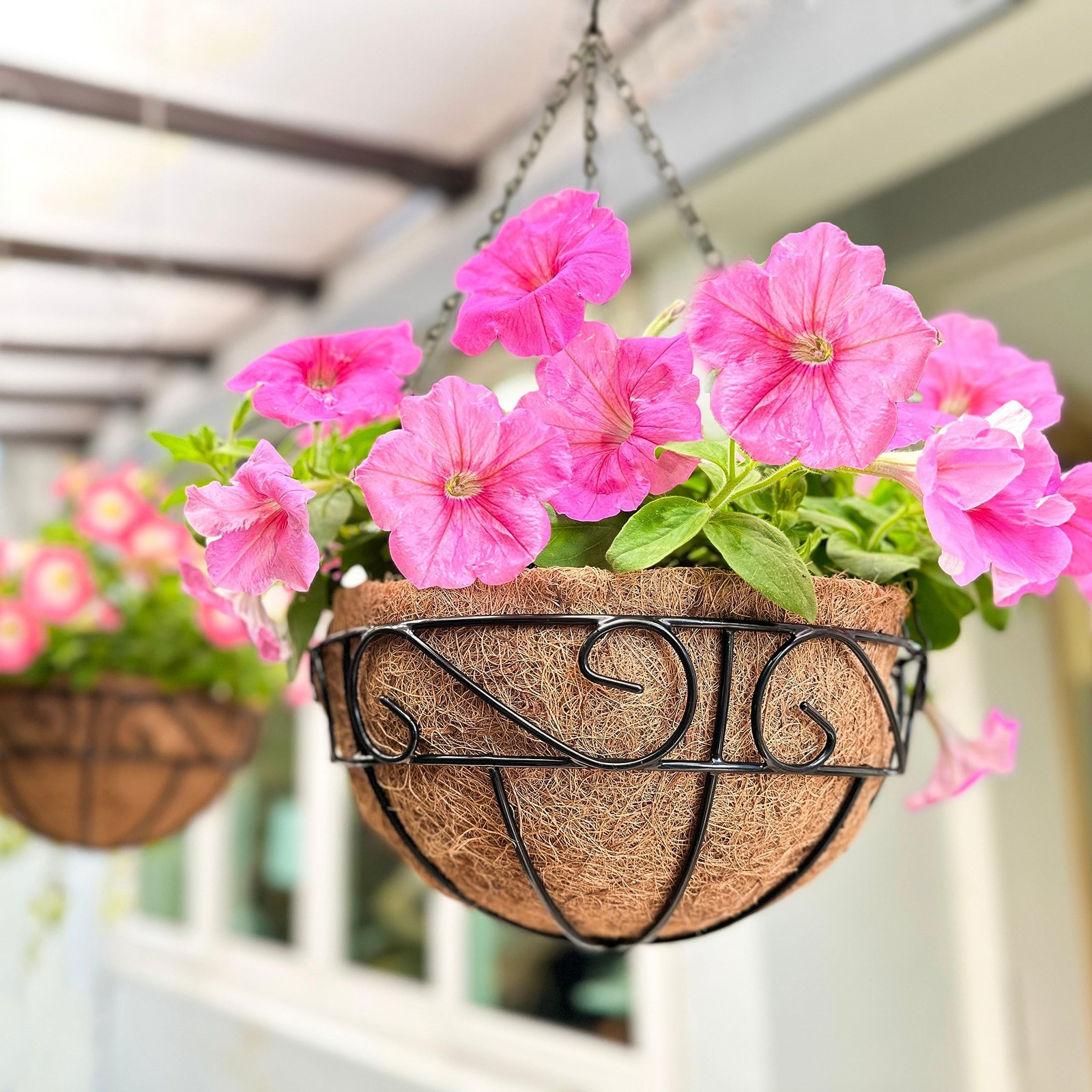 12" Hanging Planters  2 Pack Black Metal Wire Baskets for Outdoor Plants