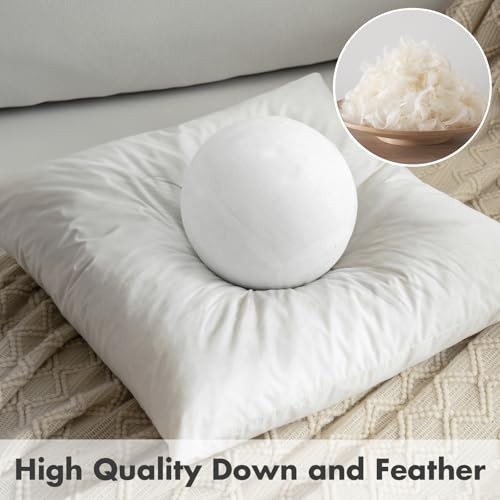 Set of0x0 Inches Decorative Throw Pillow Inserts, 20x20 Inch (Pack of 2) 2