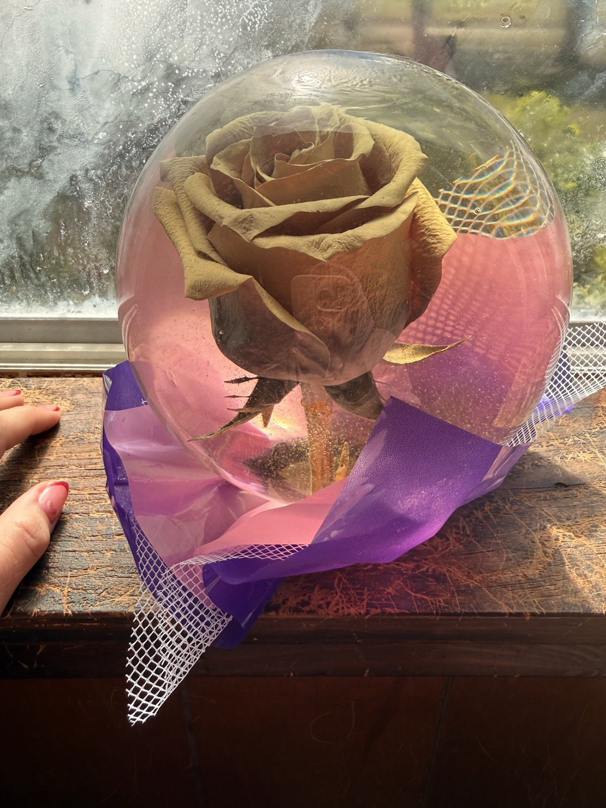Rose In A Globe