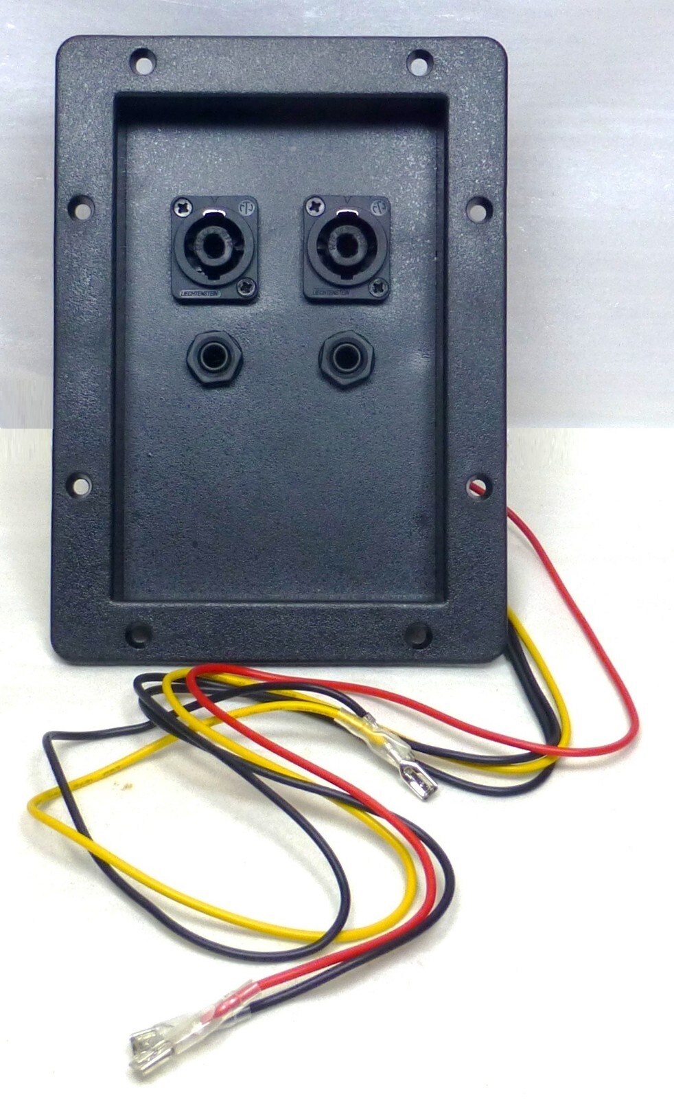 Replacement Upgraded Crossover for Peavey PR-10 Speaker w/ Speakon 1/4" Jacks