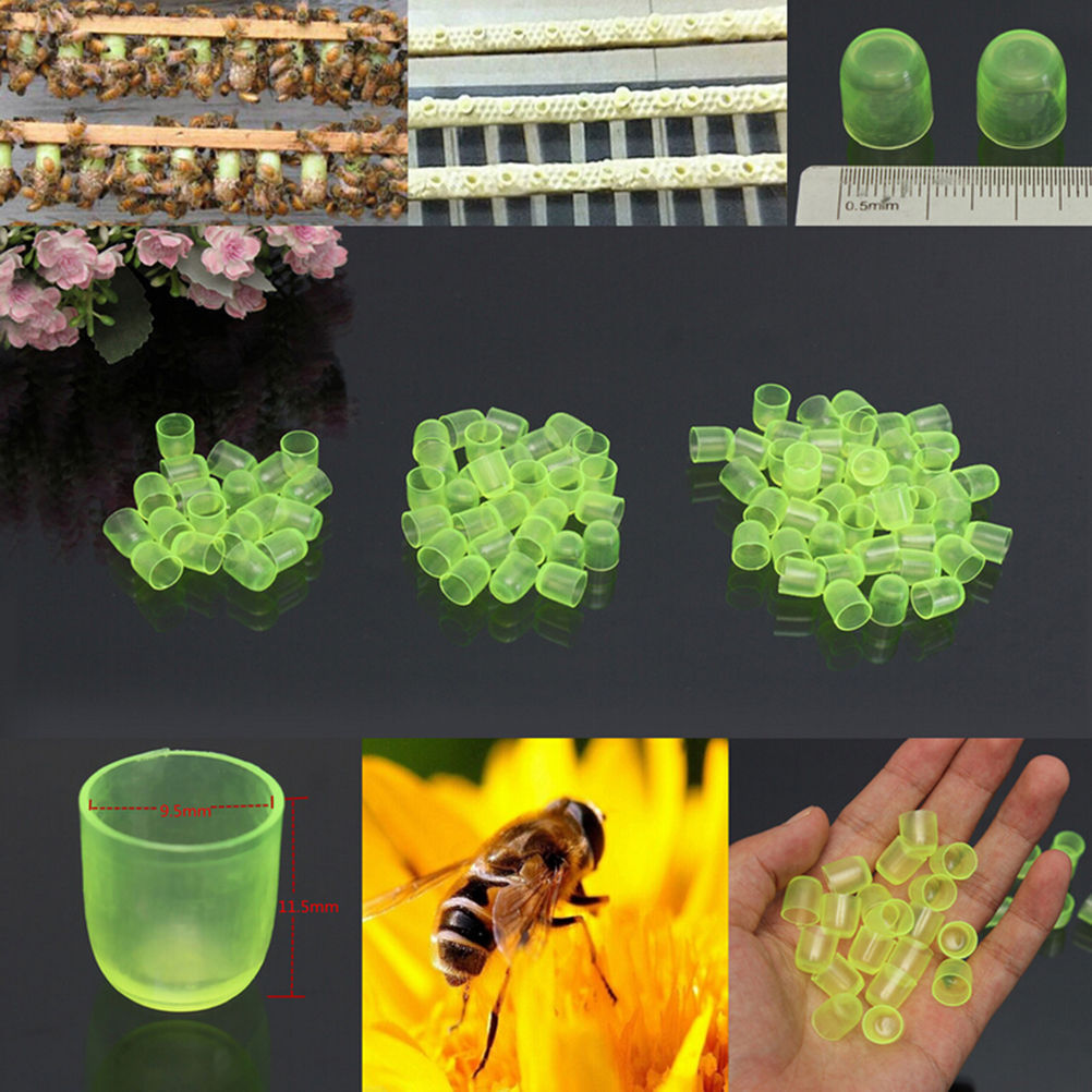 50/100PCS Beekeeping Plastic Brown Rearing Queen Bee Tools King Tools Cell