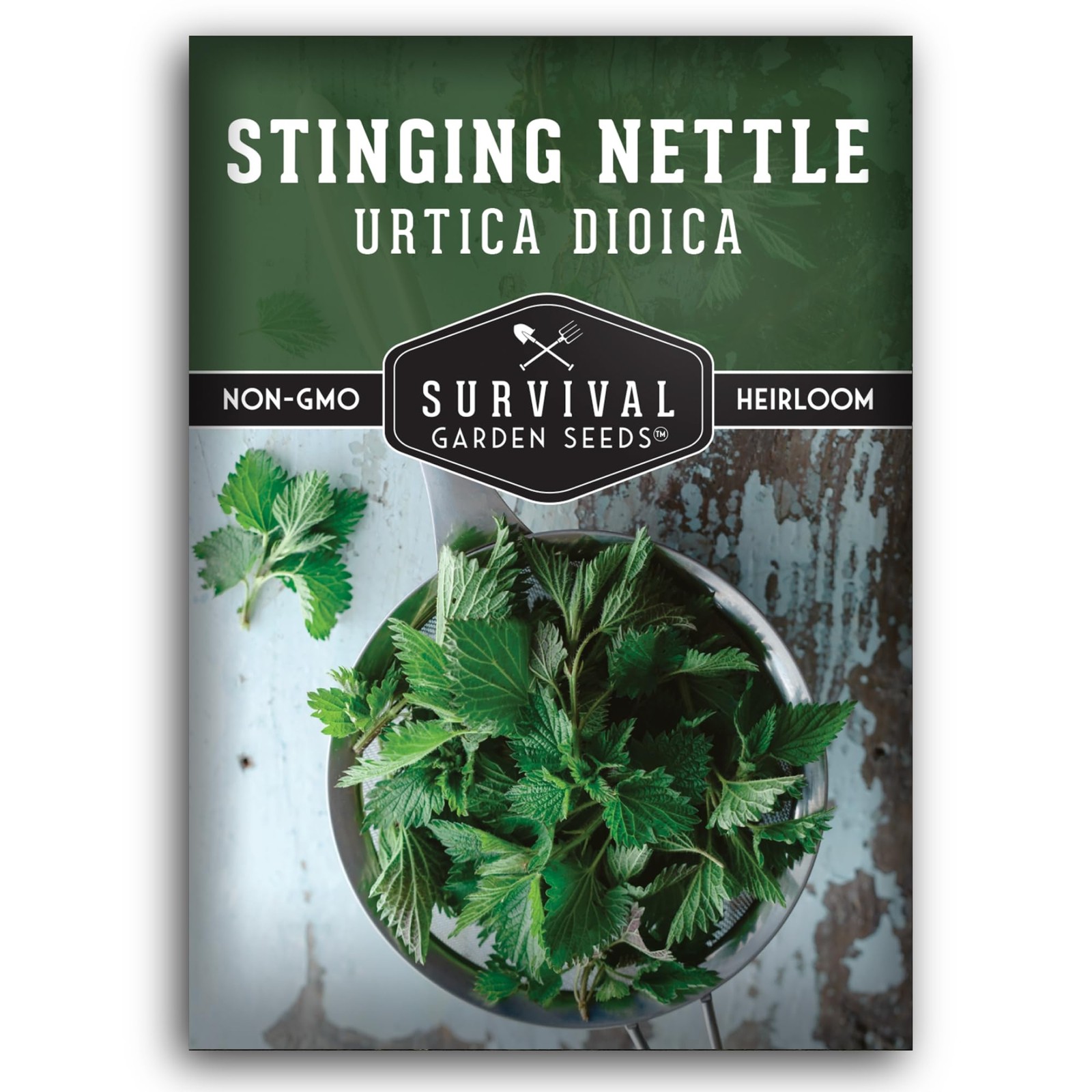 Stinging Nettle Seeds for Planting - Urtica Dioica Medicinal Herb & green