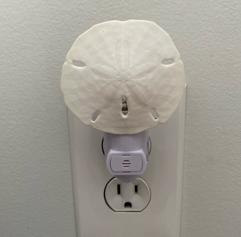 Hand-Crafted Real Sand Dollar Night Light