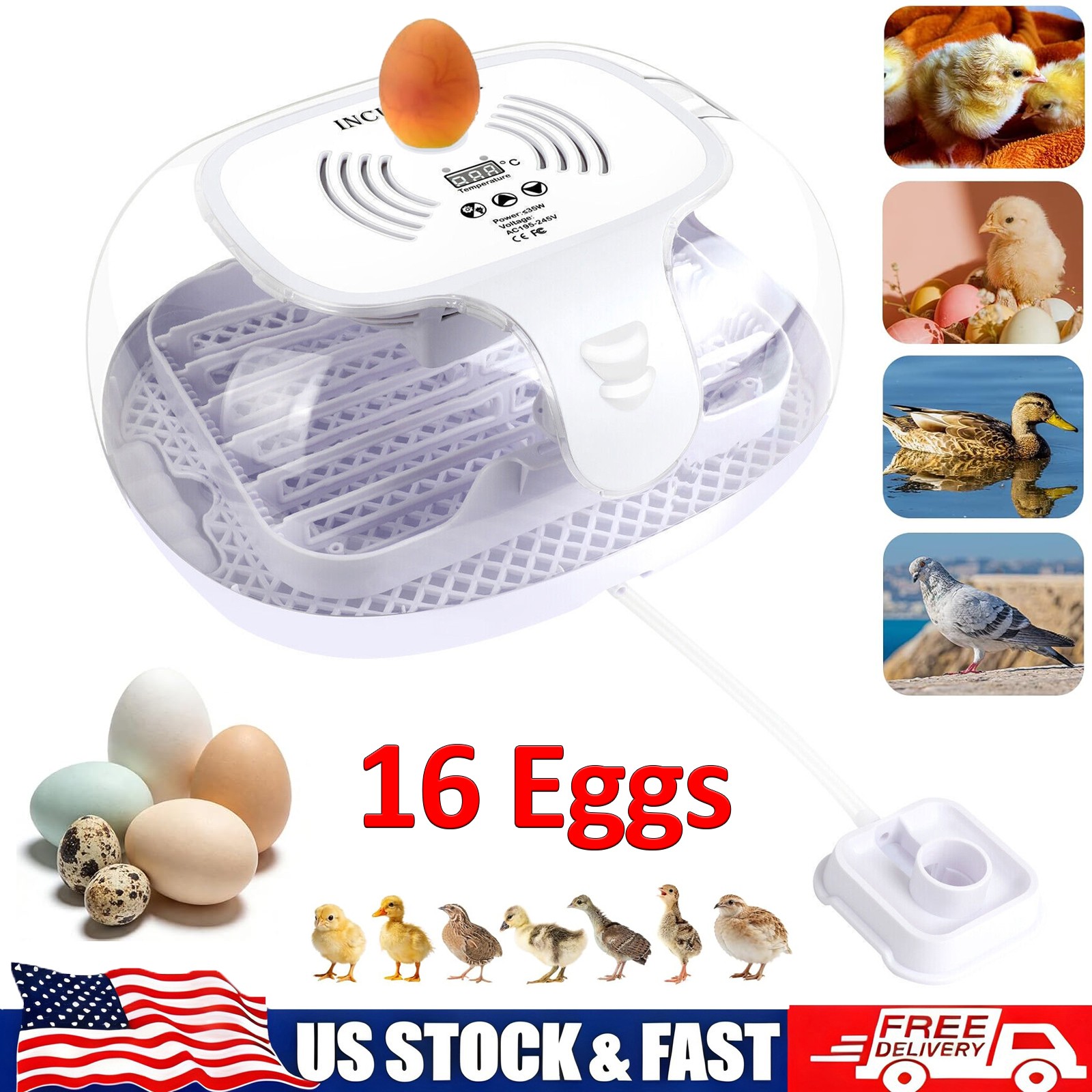 16 Eggs Incubator for Hatching Chicken Duck w/ Auto Egg Turning & Water Adding