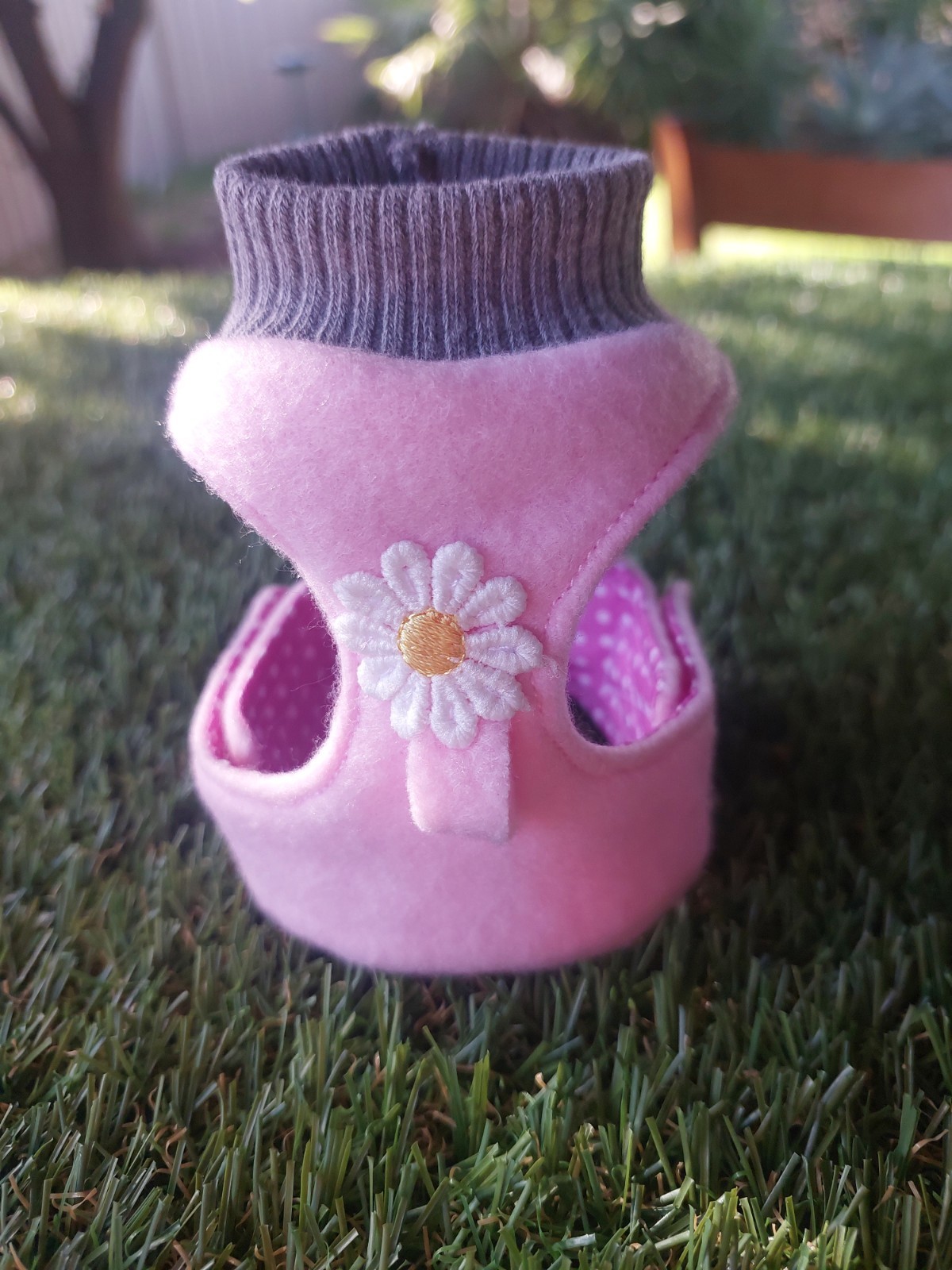 Bird Daisy Harness And Lead