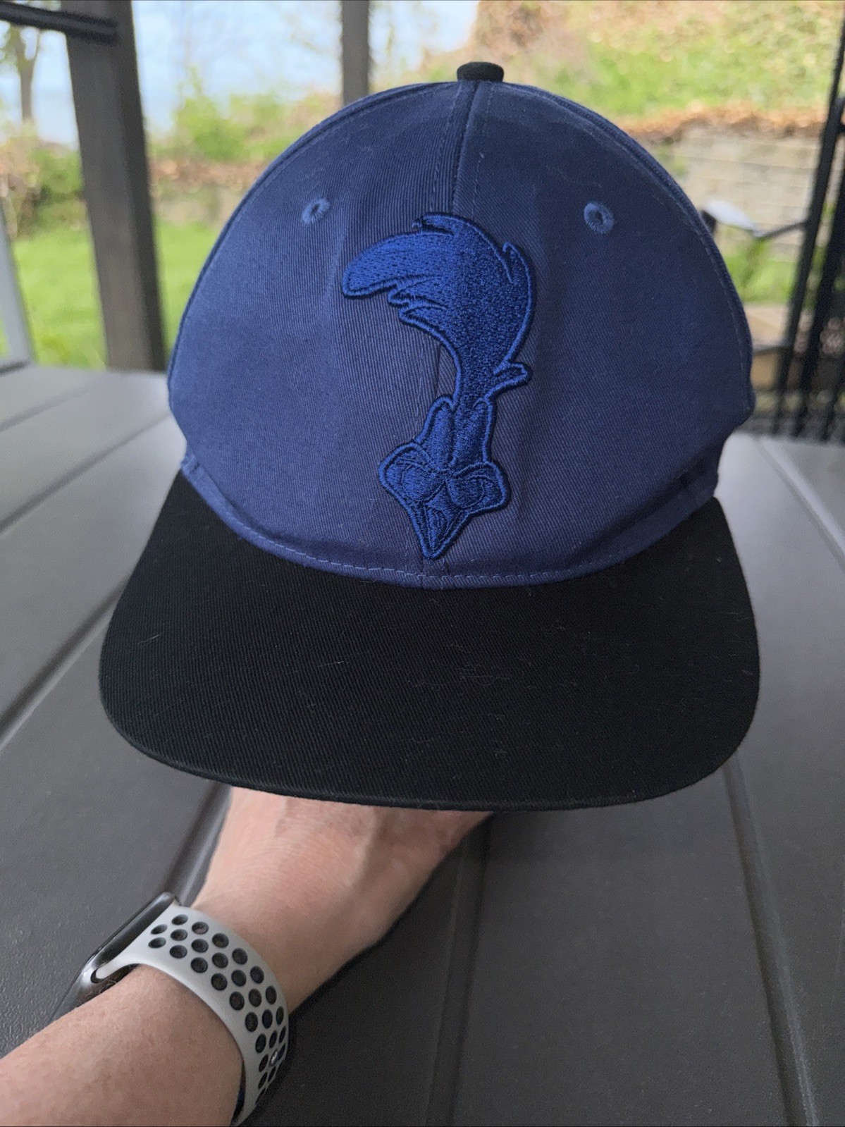 Road Runner Six Flags Looney Toons Hat Cap Royal Blue Black Bill Snapback EUC