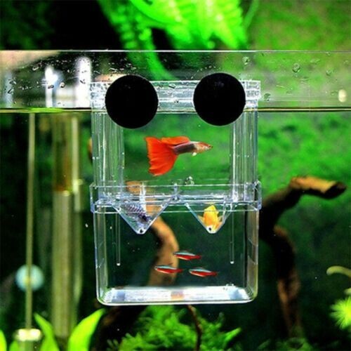 Aquarium Fish Tank Breeding Breeder Rearing Box Hatchery Isolation Case, Small