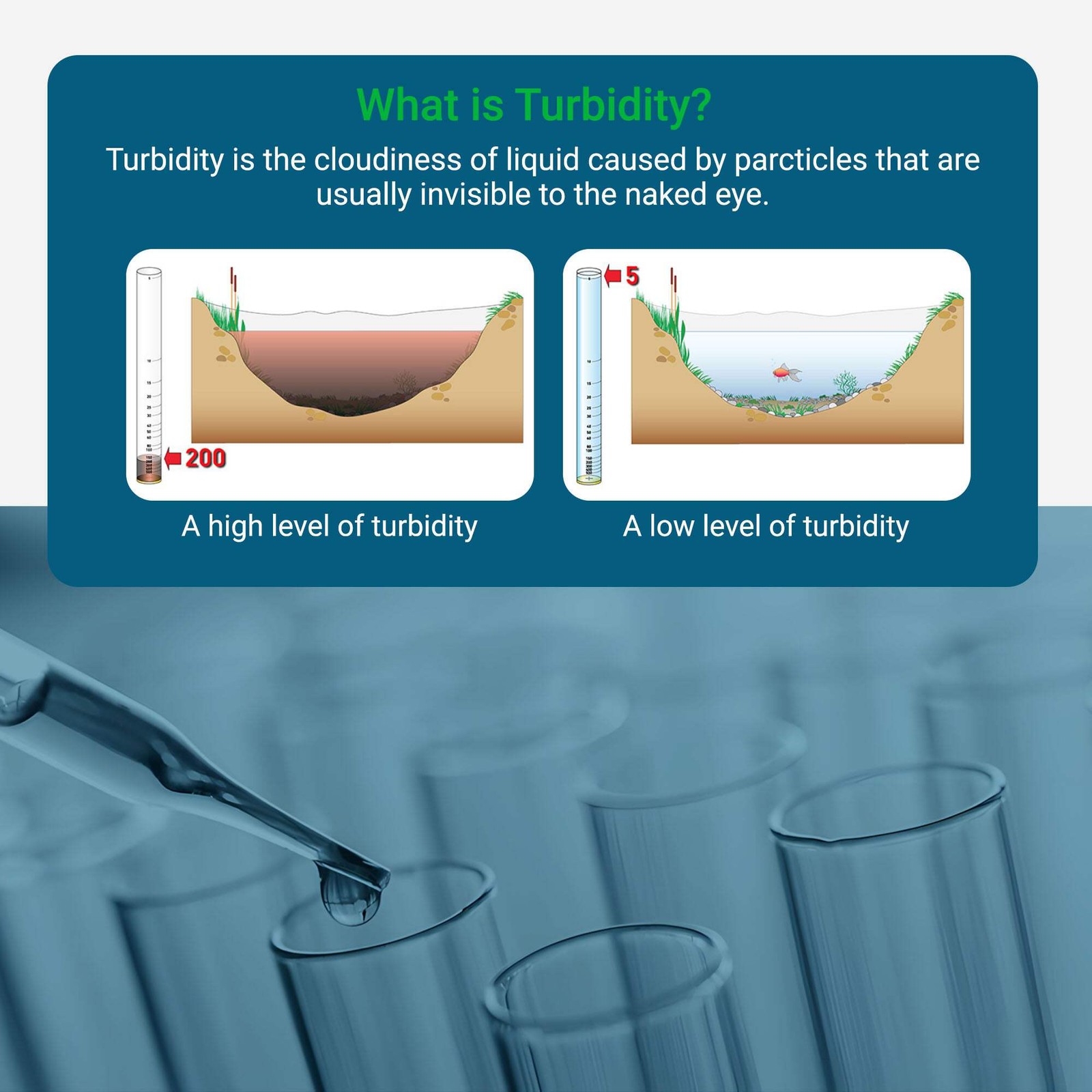 Turbidity Tube