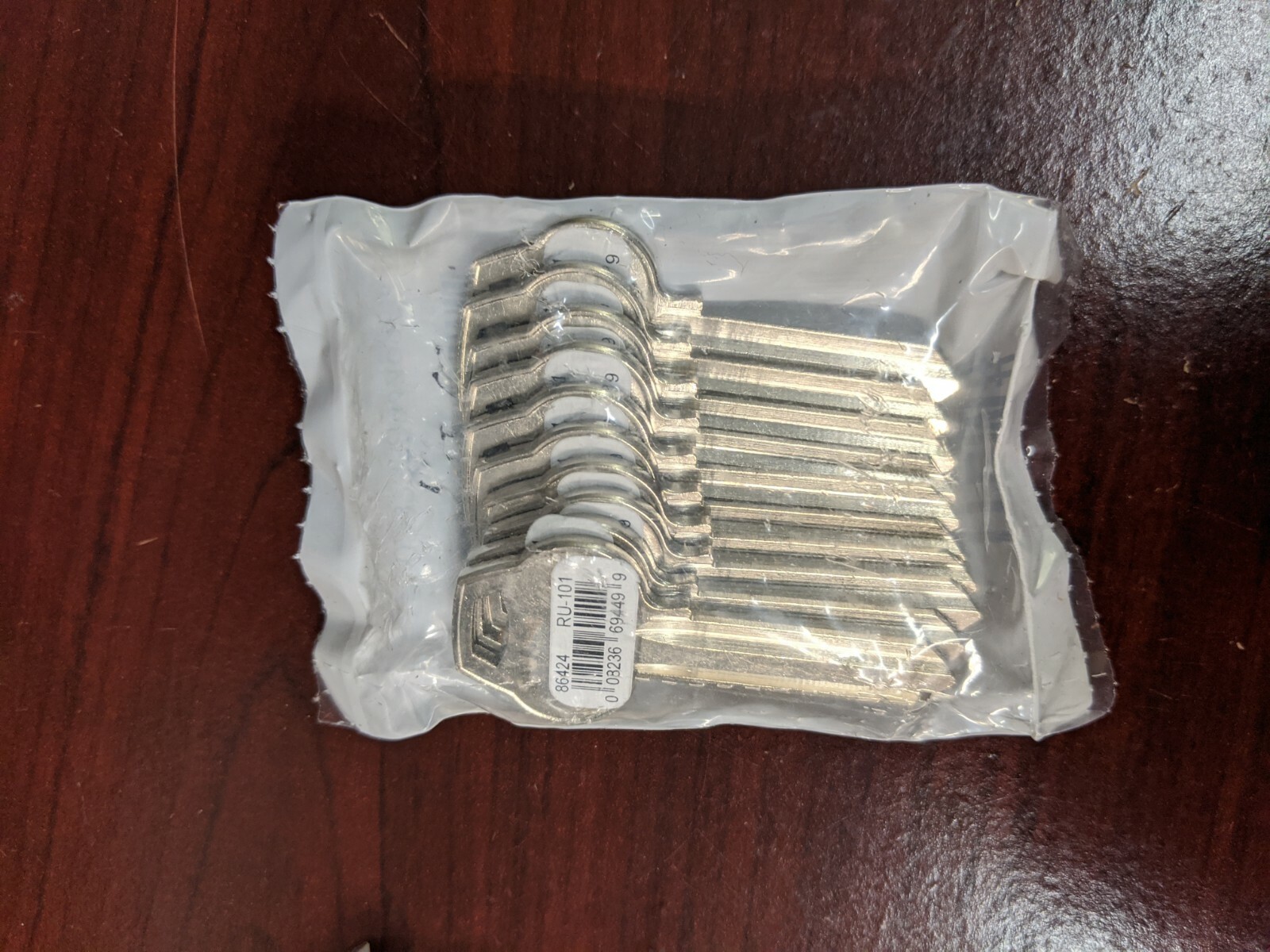 10 pc House and Padlock Blank Keys