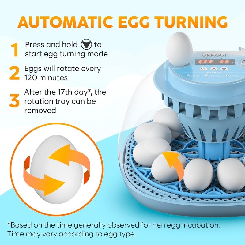 Automatic Egg Incubator Temperature Control Humidity Dual Bottles 12 Eggs New