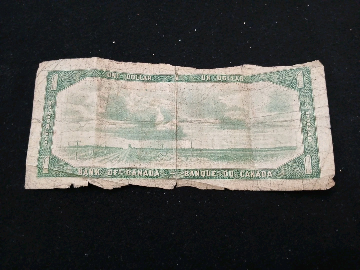 Canadian Dollar 1954 With Queen Elizabeth