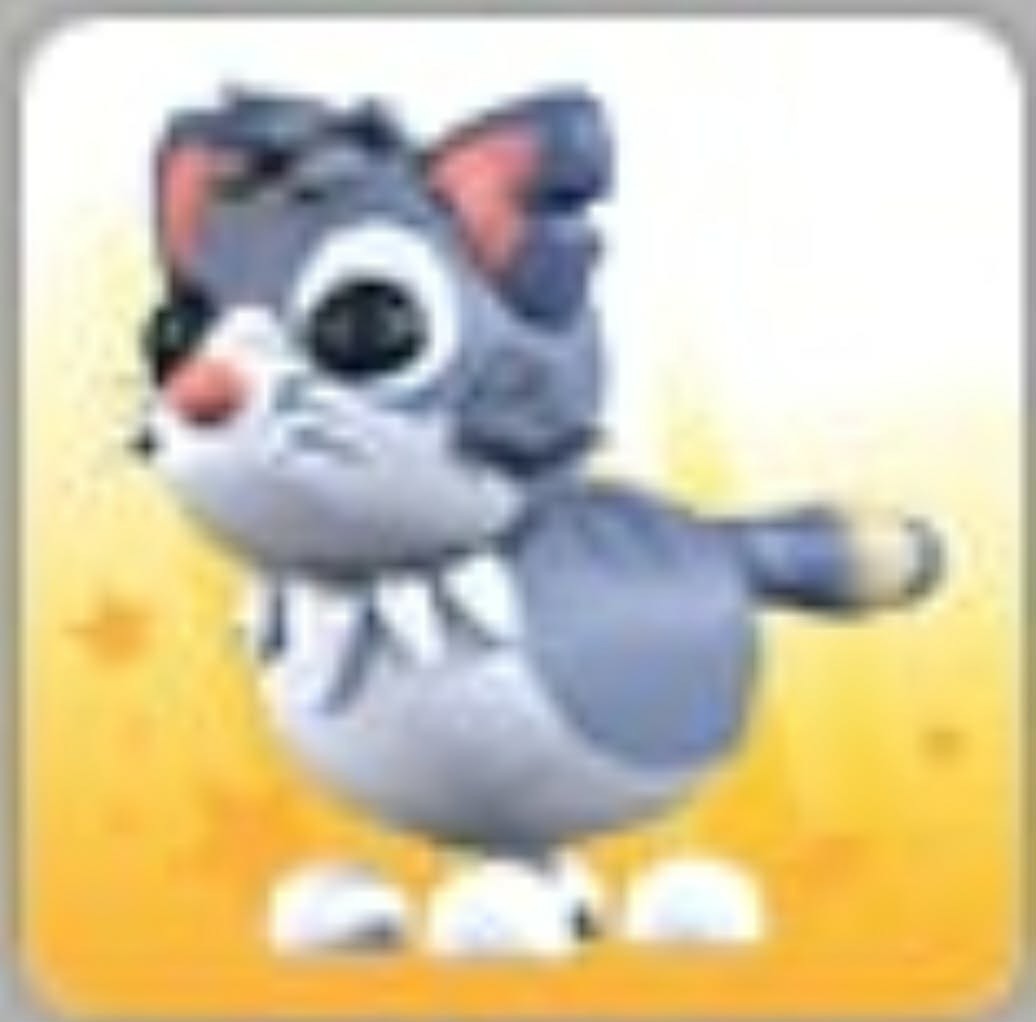 Alley Cat | NFR | Adopt Now