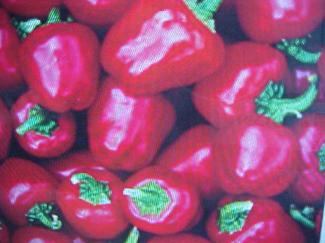 INDOOR OUTDOOR HANGING BASKET MINI RED BELL PEPPER   10 SEEDS