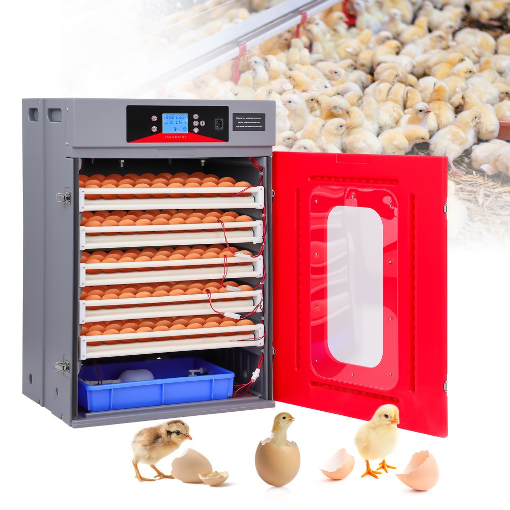 400 Egg Incubator Automatic Egg Turning & Temperature Control Digital Incubators