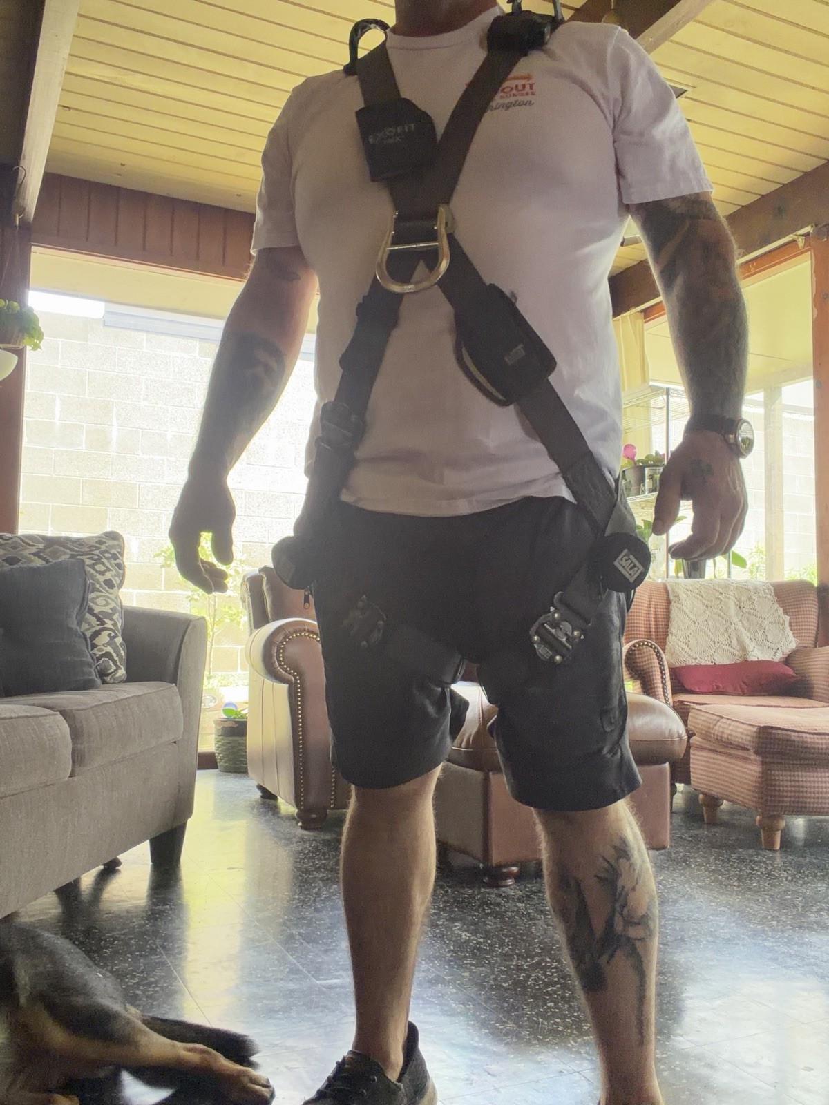 DBI-SALA ExoFit NEX Full Body Safety Harness Size L MPN 872LBS/15kN