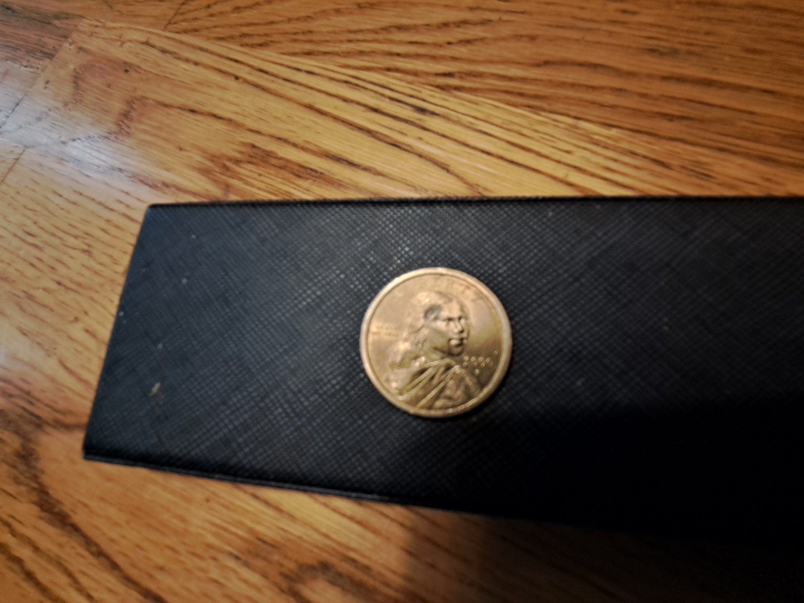 sacagawea dollar 2000 p error