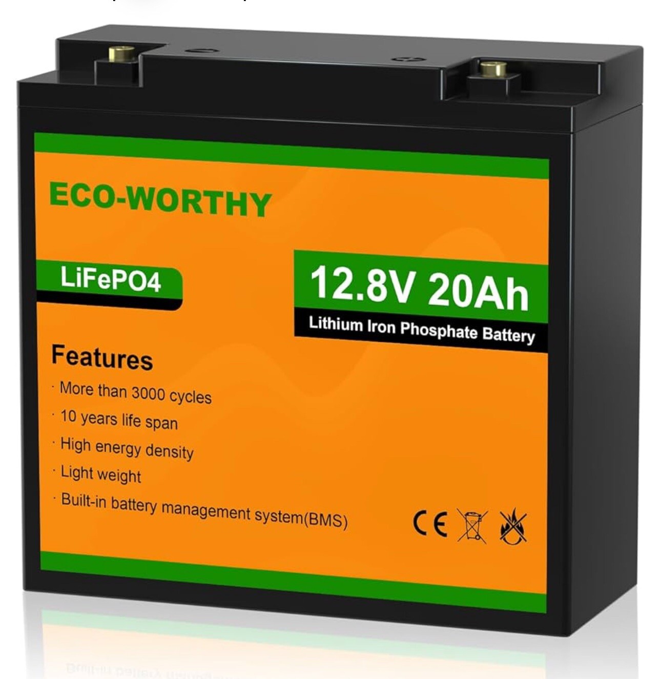 ECO-WORTHY 12V 20Ah 256Wh LiFePO4 Battery