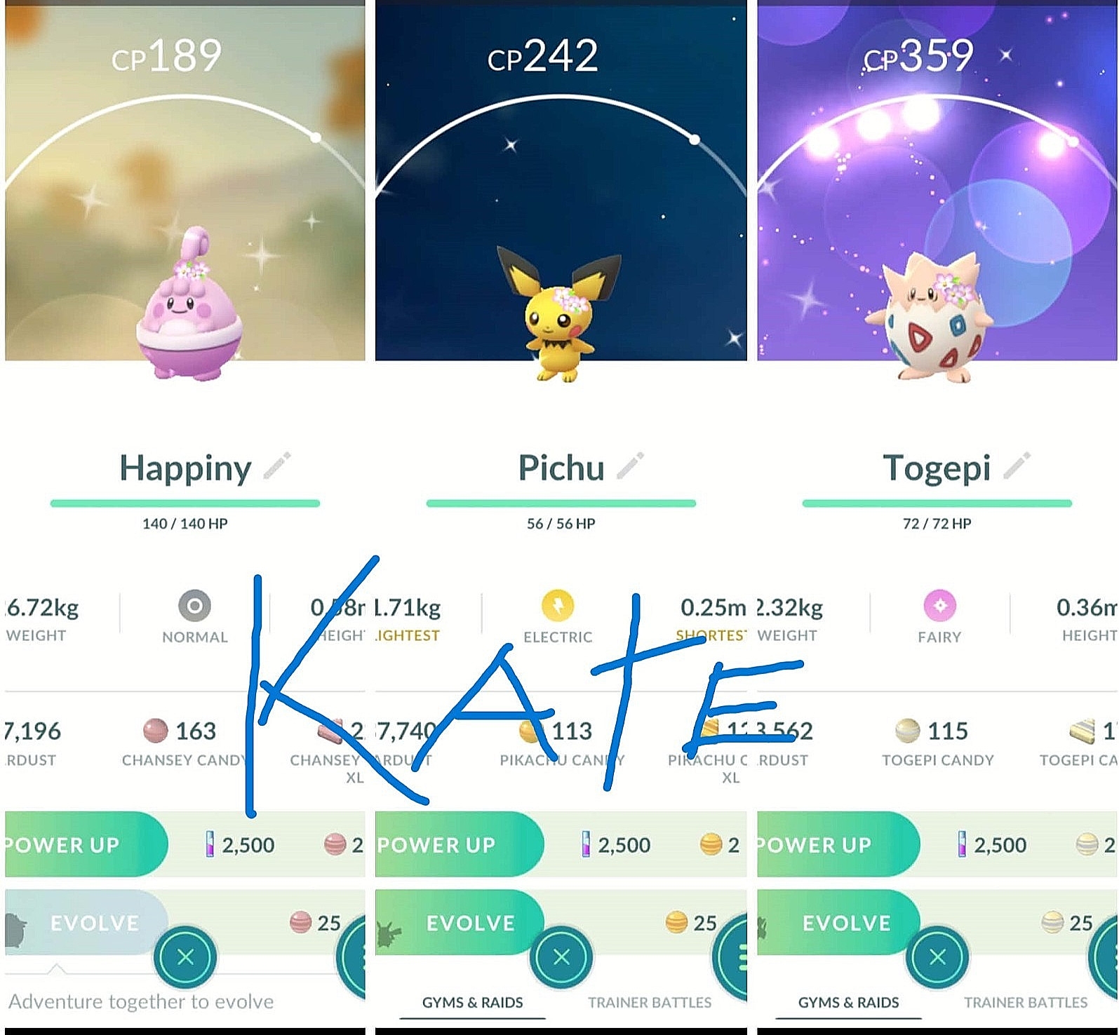 ✨Shiny Pichu, Togepi, Happiny Flower Crown✨Spring Marathon 2026✨  - P T C
