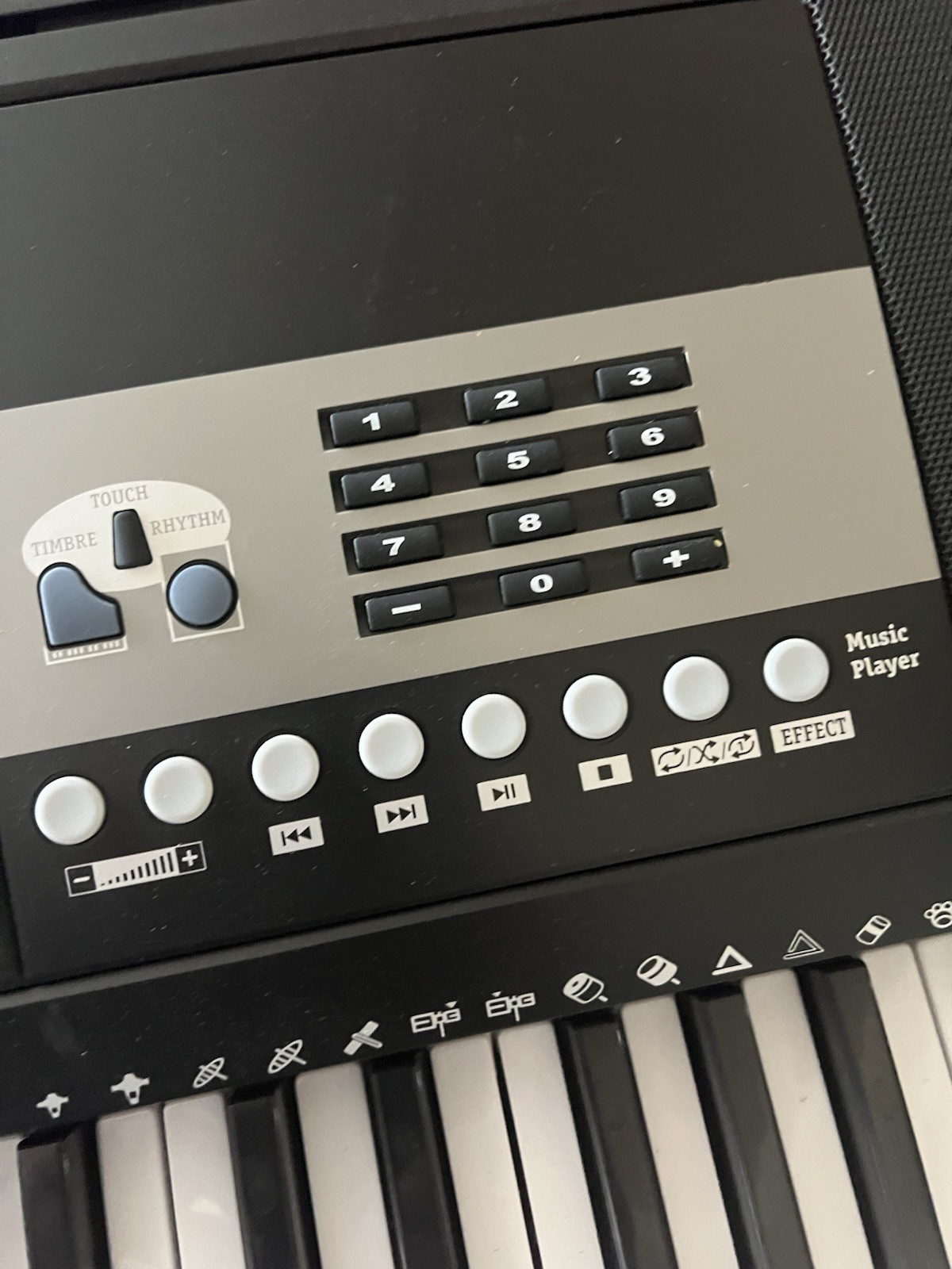 Thaynards TS-380 Prodigy 61 Key