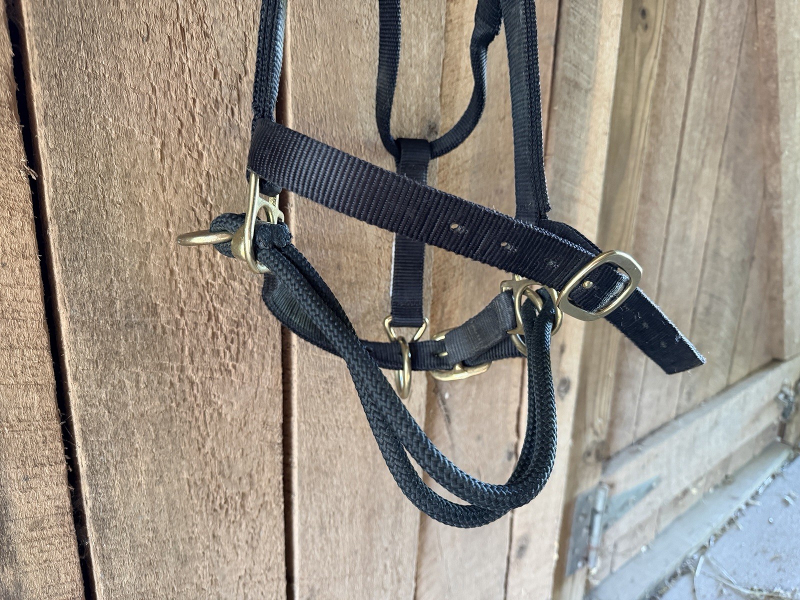 MONTY ROBERTS BLACK MEDIUM DUALLY TRAINING HALTER
