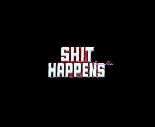 VN SH*T HAPPENS + a custom promo pin