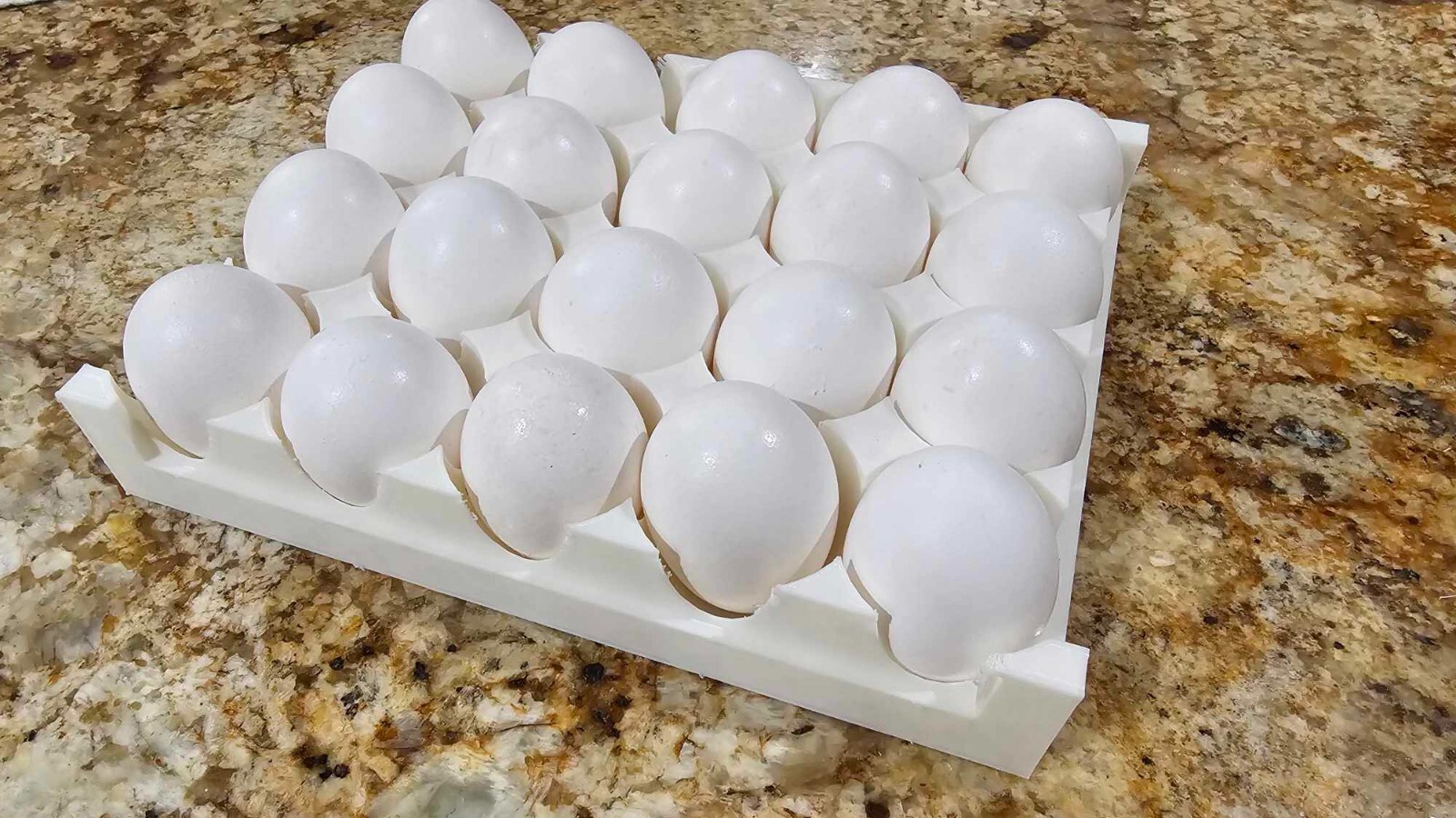 Eco-Friendly 3D Printed Egg Carton – Mold-Resistant, Multi-Use (Eggs, Feeders)