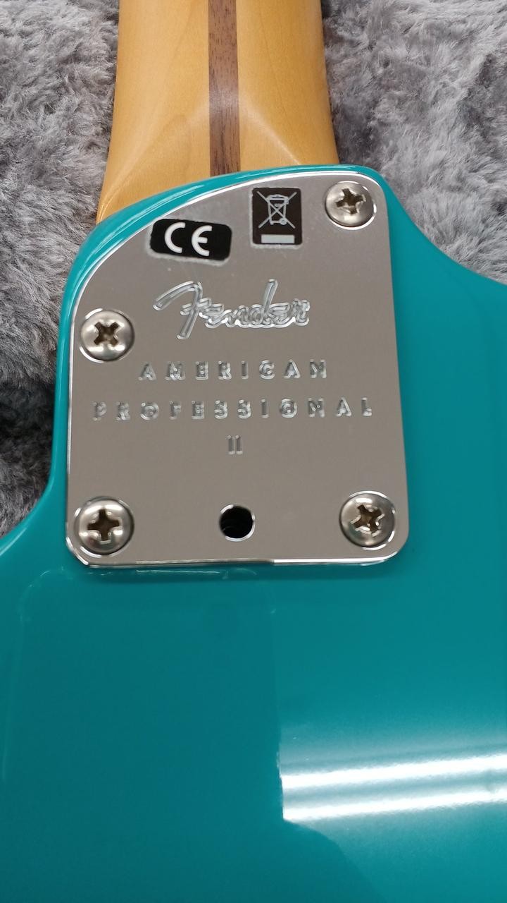 FENDER AM PROⅡ STRATOCASTER Stratocaster