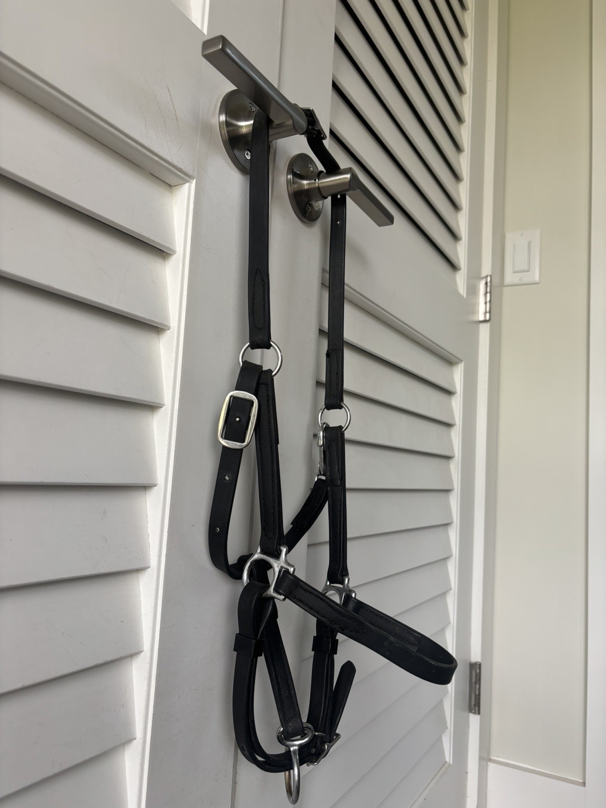 Black Beta Biothane Arab/Cob Halter