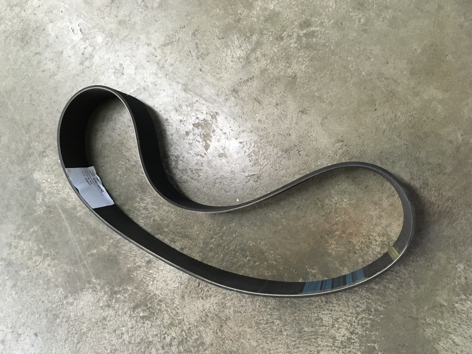 Carpigani 1002 Drive Belt