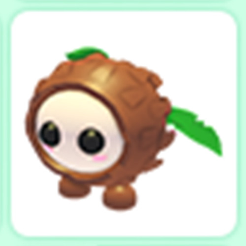 Coconut Friend - Cheap & Trusted Store!!